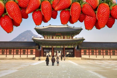 WIN A TRIP TO KOREA BY FEEDING YOUR SEOUL WITH STRAWBERRIES!