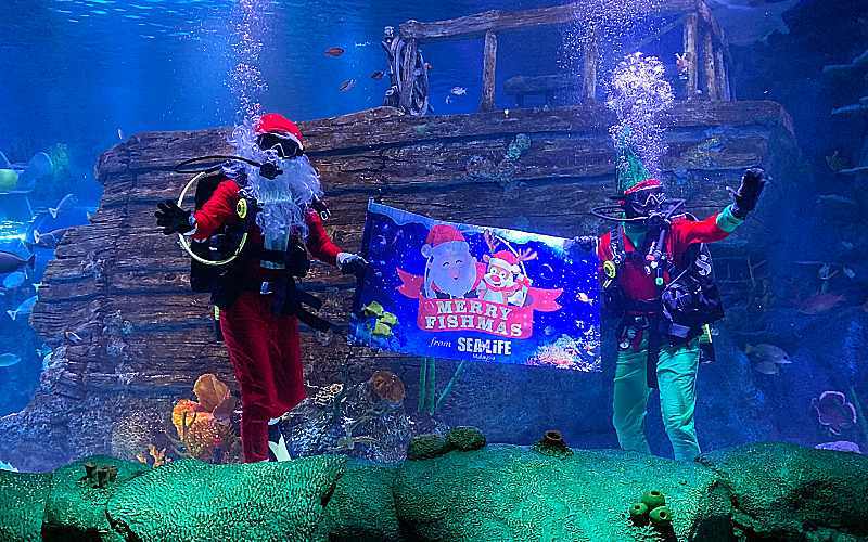 GO ON MAGICAL QUESTS THIS HOLIDAY SEASON AT LEGOLAND® MALAYSIA RESORT’S ENCHANTED FOREST!