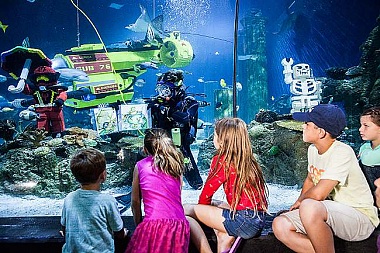 SEA LIFE MALAYSIA OPENS ON 9TH MAY 2019!