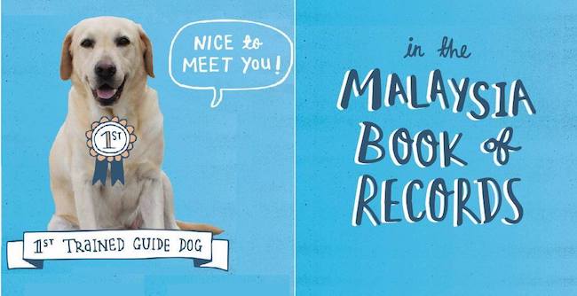 全马首只导盲犬即将登上《MALAYSIA BOOK OF RECORDS》！