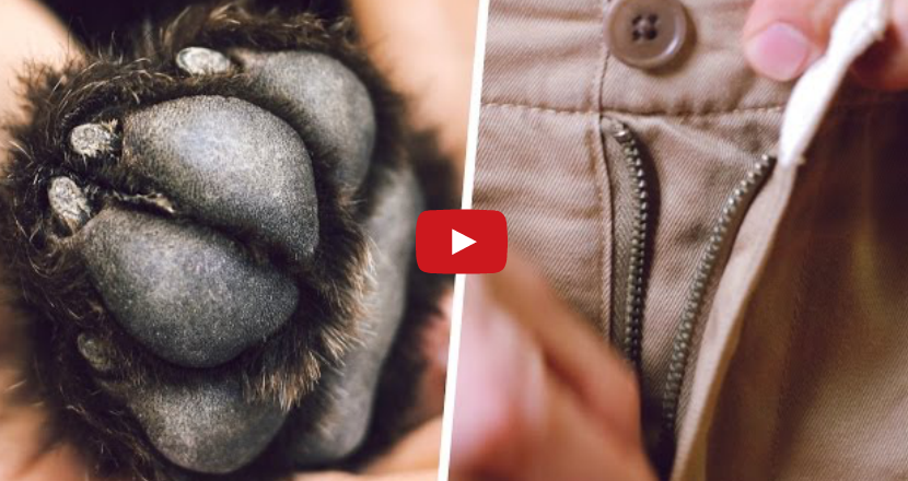 Things You Don&rsquo;t Know About Men&rsquo;s Clothing 