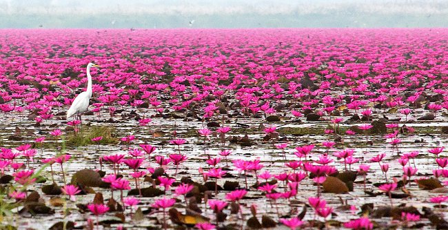 Lake Nong Harn