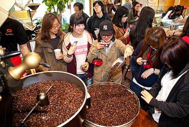 BEST 4 PLACES TO VISIT IN GANGNEUNG FOR COFFEE LOVERS!