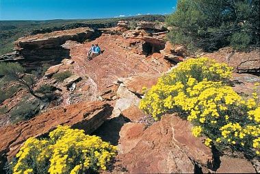 4 EXTRAORDINARY EXPERIENCES AT WESTERN AUSTRALIA’S CORAL COAST!