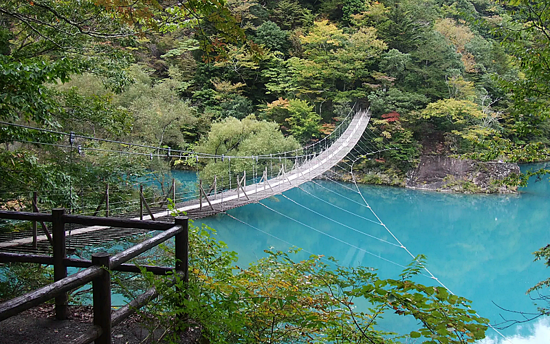 5 INSTAGRAMMABLE PLACES IN SHIZUOKA!
