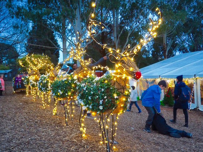 【澳洲｜墨尔本】2018 年淘金镇 WINTER WONDERLIGHTS 冬季灯节