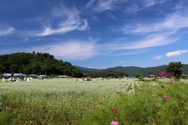 【韩国｜江原道】平昌孝石文化节 2017